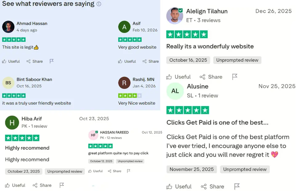 User Reviews